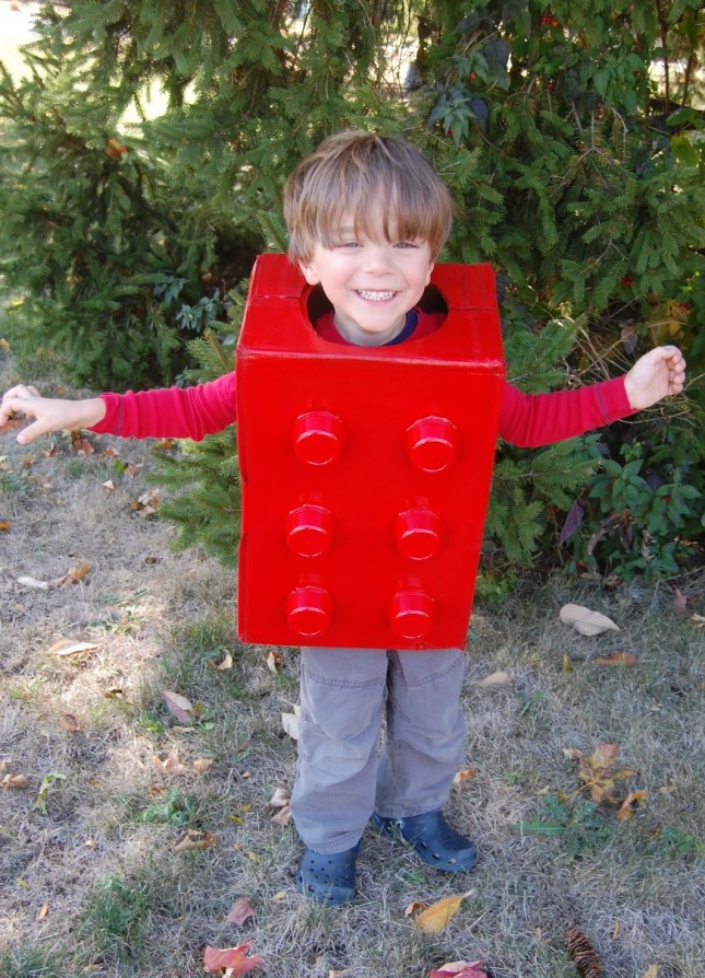 Lego Brick DIY Halloween Costume