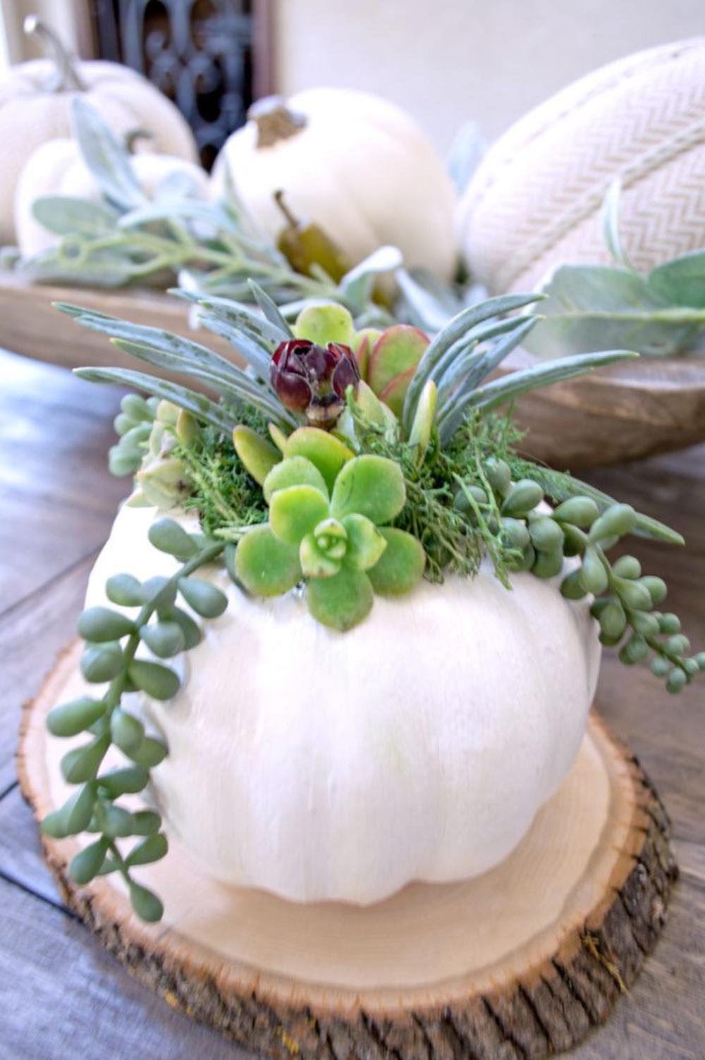 Succulent planter thanksgiving table decor ideas