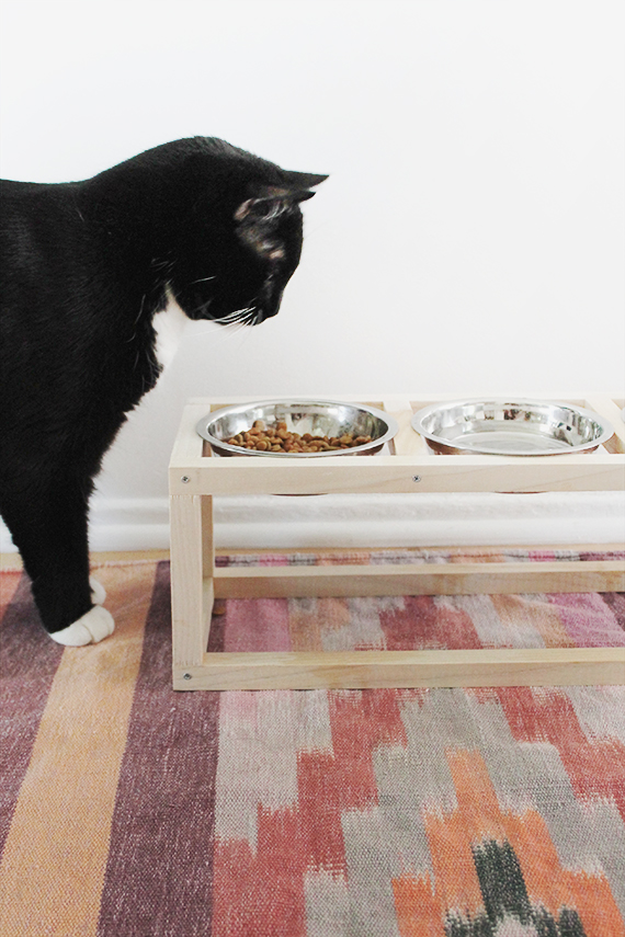 diy wooden pet bowl holder