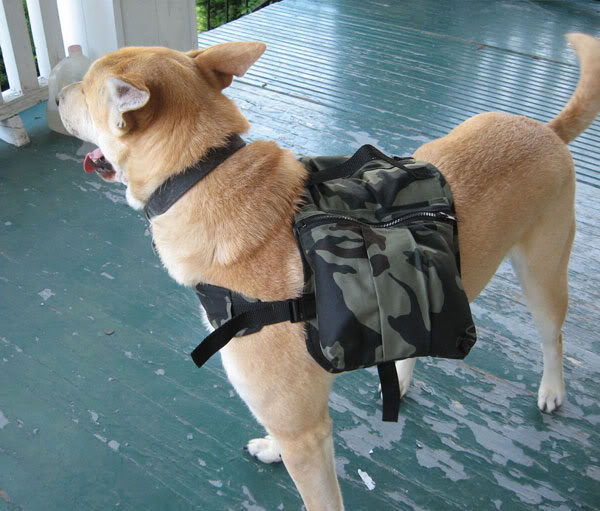 dog hiking backpack