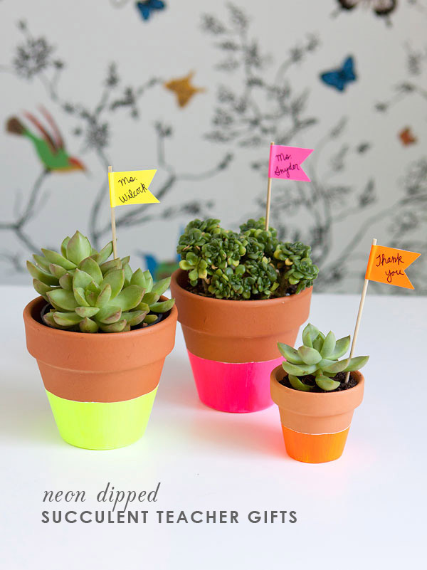 DIY Succulent Teacher Gift