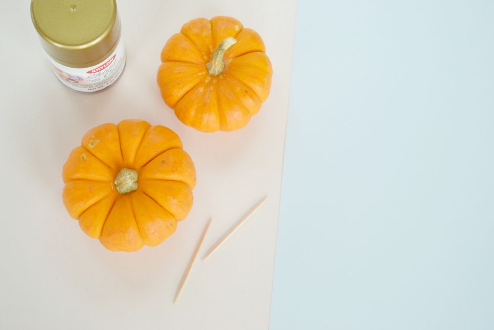 Vibrant Pumpkin Place Card Setting - Materials