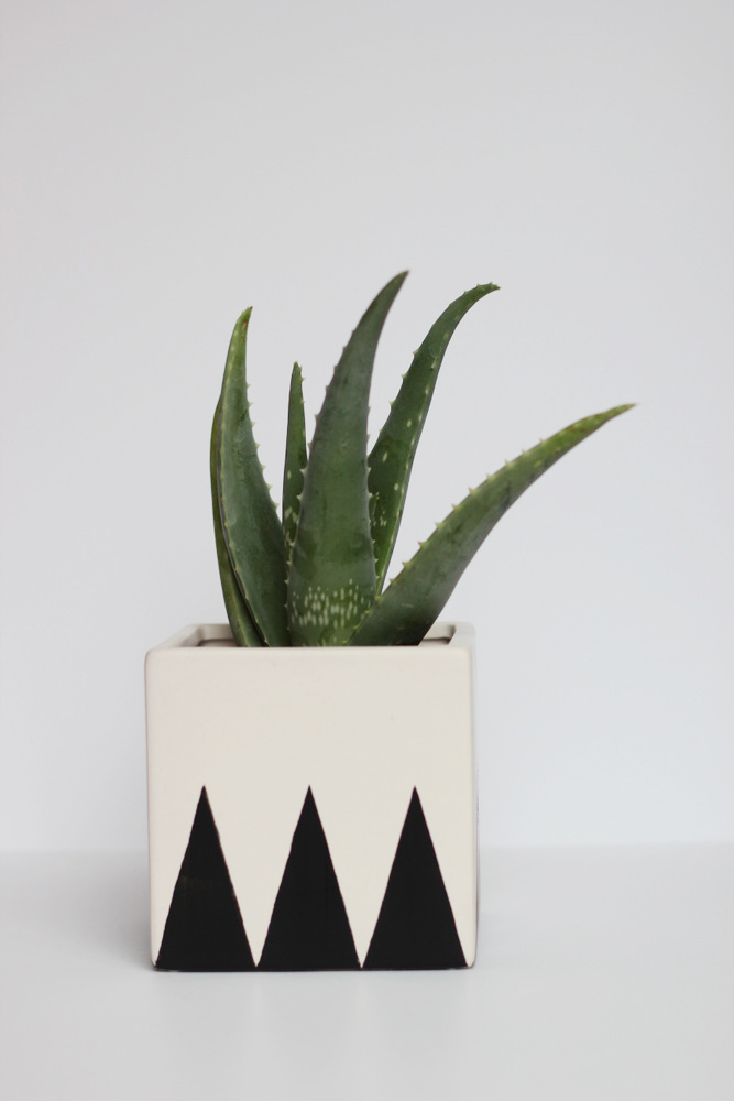 black and white cube planter