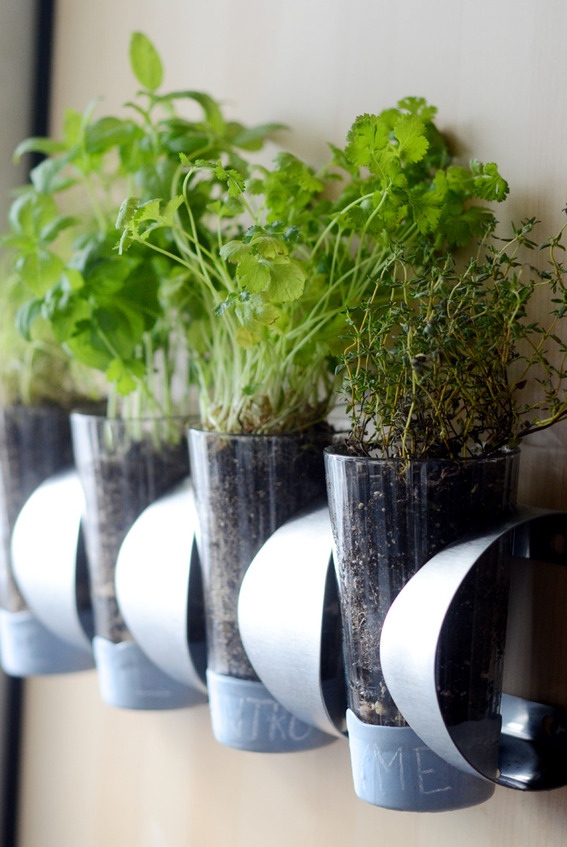 Herb Garden Ikea Hack