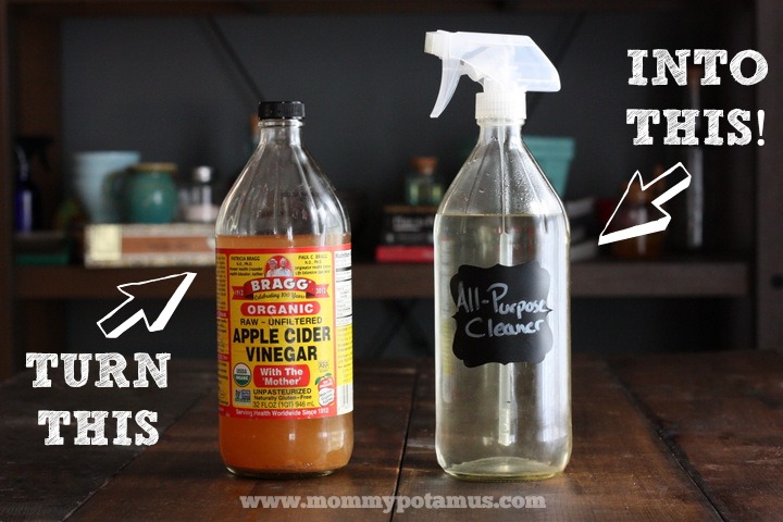 DIY All purpose house cleaner