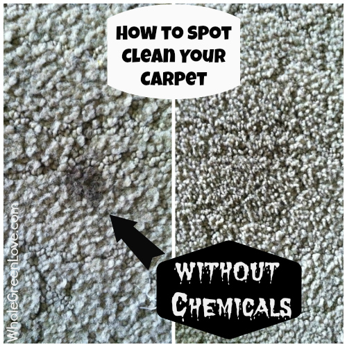 How-to-Spot-Clean-Your-Carpet-without-Chemicals