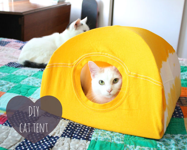 cat-tent