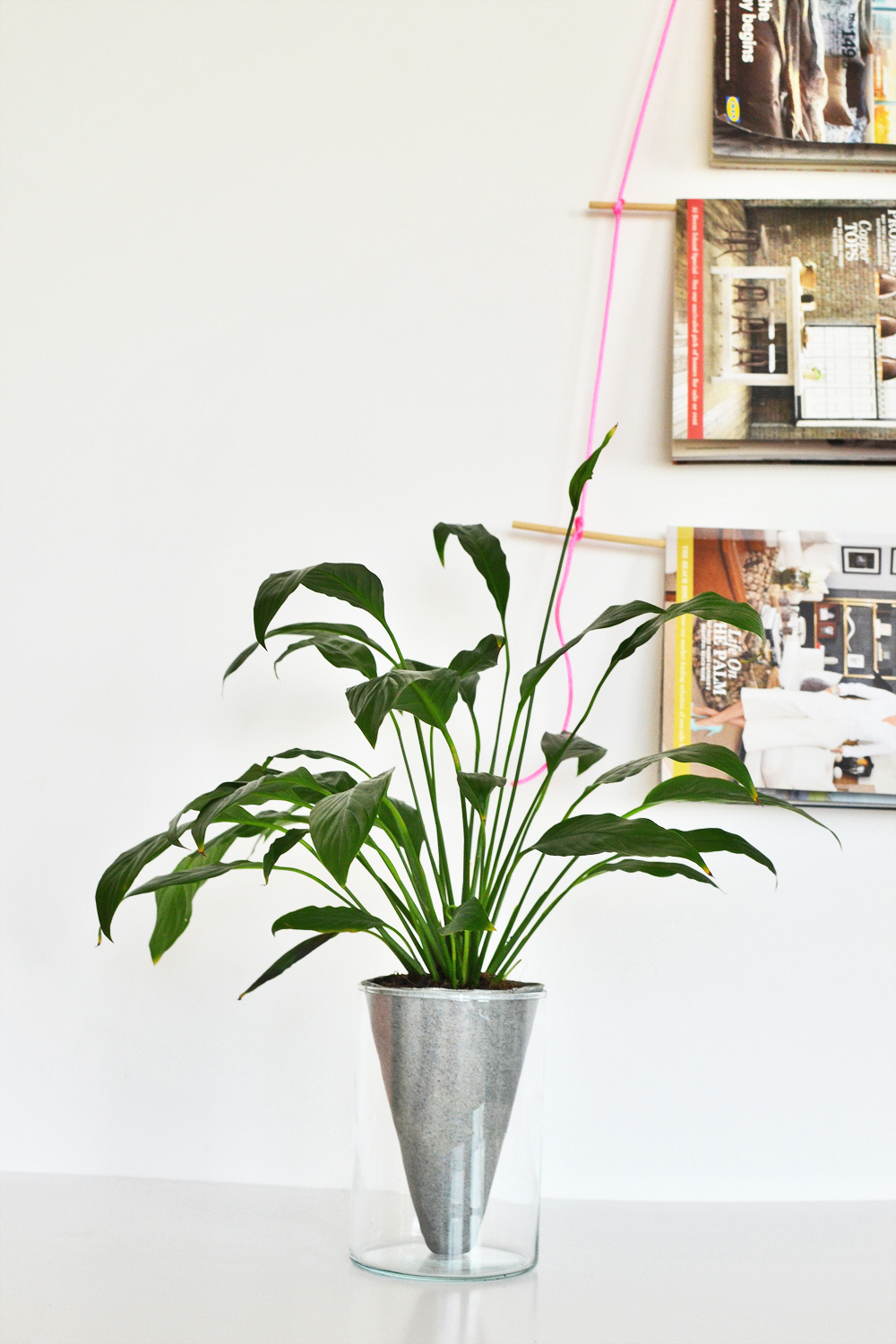 DIY Conical Planters