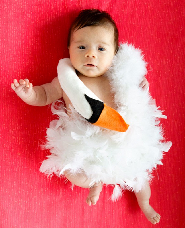 Diy bjork baby costume