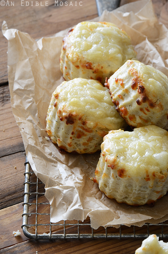 Savory thyme and swiss cheese scones 2