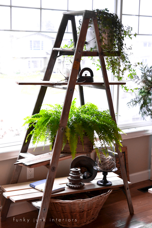 35 Diy Plant Stands To Organize The Jungle In Your Home - Diy Plant Stand Plans Ladder