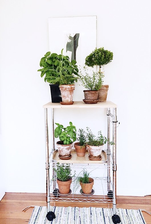 Diy plant stand