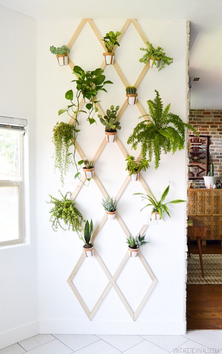 Indoor plant trellis