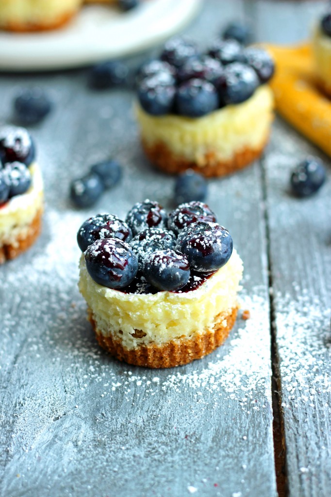 Miniature lemon blueberry cheesecake