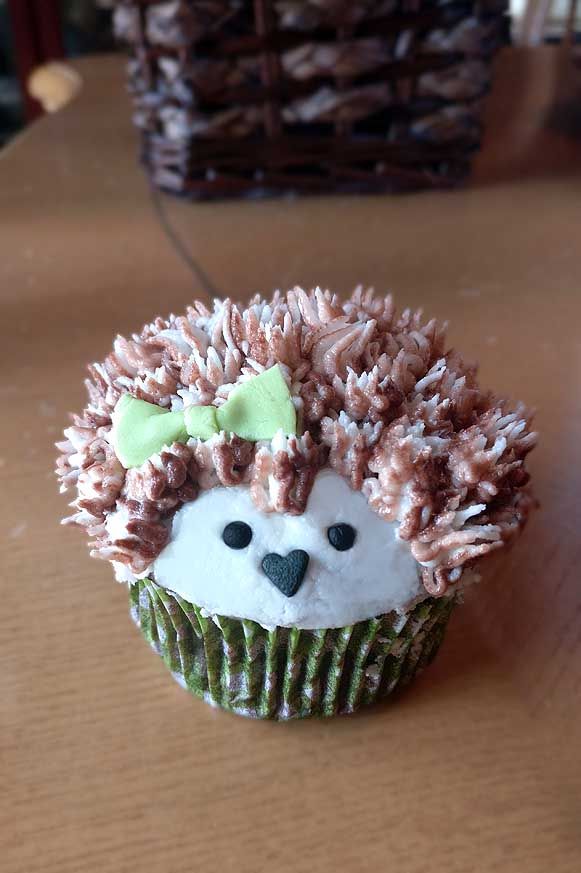 Hedgehog cupcakes