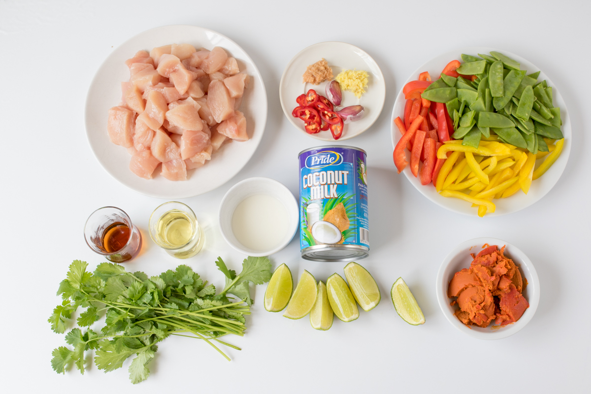 20 minute red thai curry ingredients