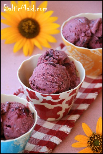 Blueberry cherry frozen yogurt