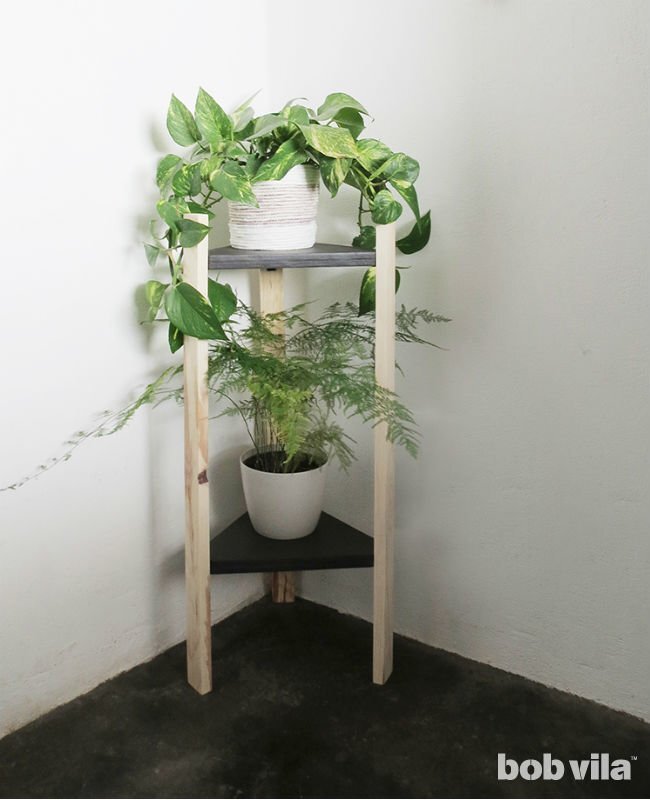 Corner plant shelf