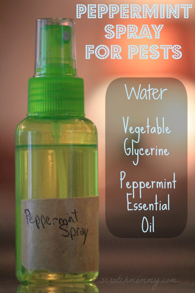 Peppermint spray for pests by scratch mommy