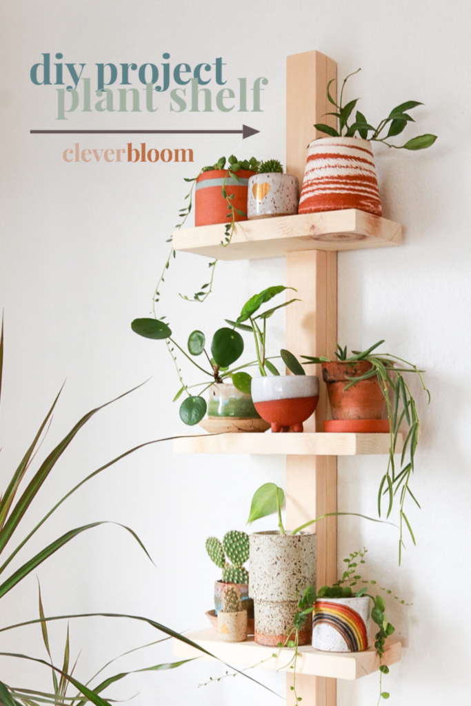 Plant shelf