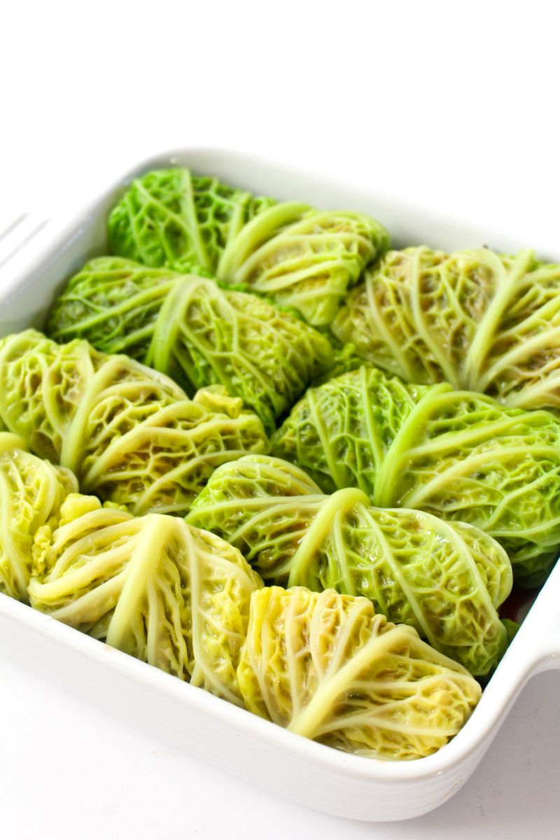 Vegetarian cabbage rolls green