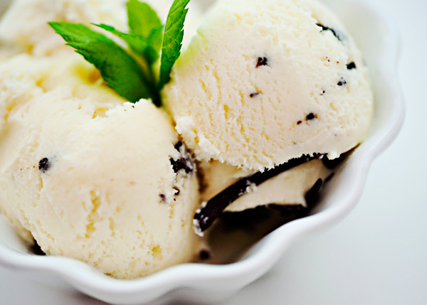 Mint chocolate chip ice cream