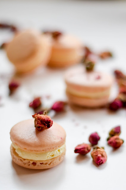 Rose vanilla macarons