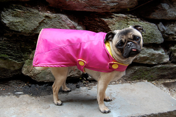 Doggy rain coat