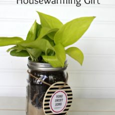 Mason jar diy housewarming gift
