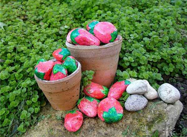 Rock strawberries