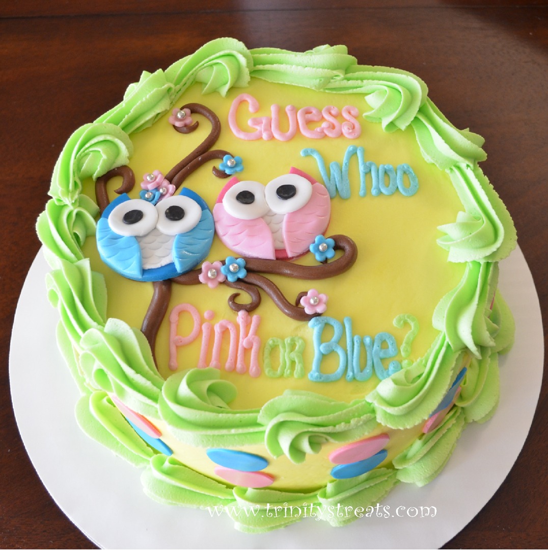 Owl gender reveal cake