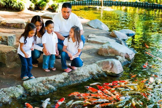 Coy pond family photo