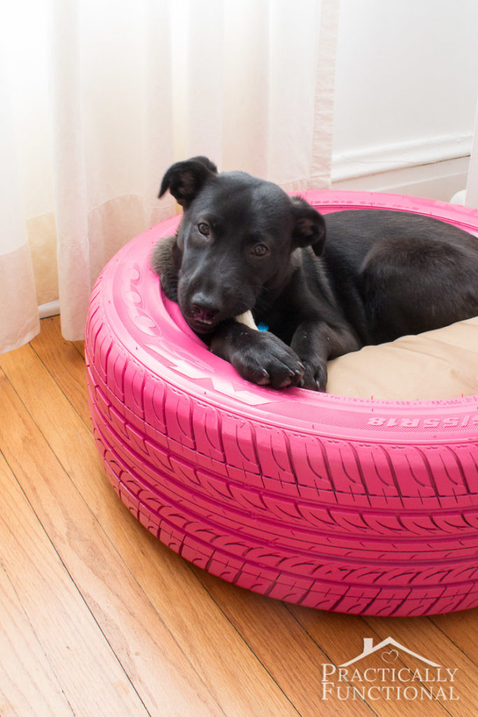 Diy dog bed from a tire 3
