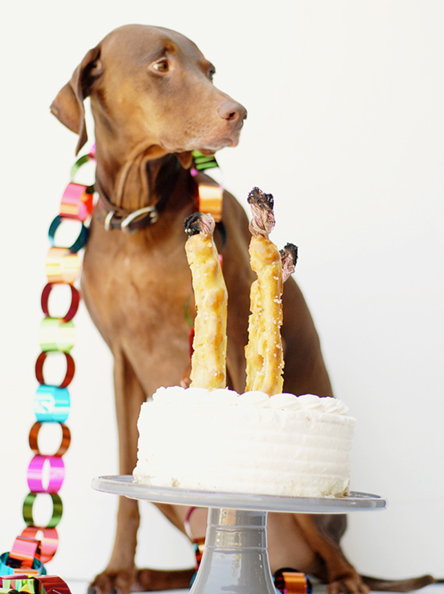 Dog treat birthday candles