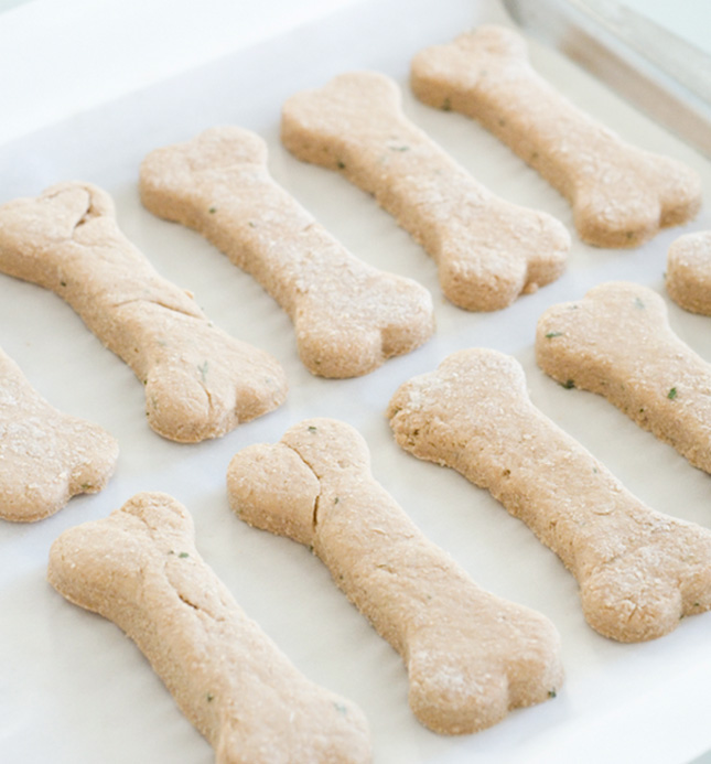 Pureed baby food dog treats