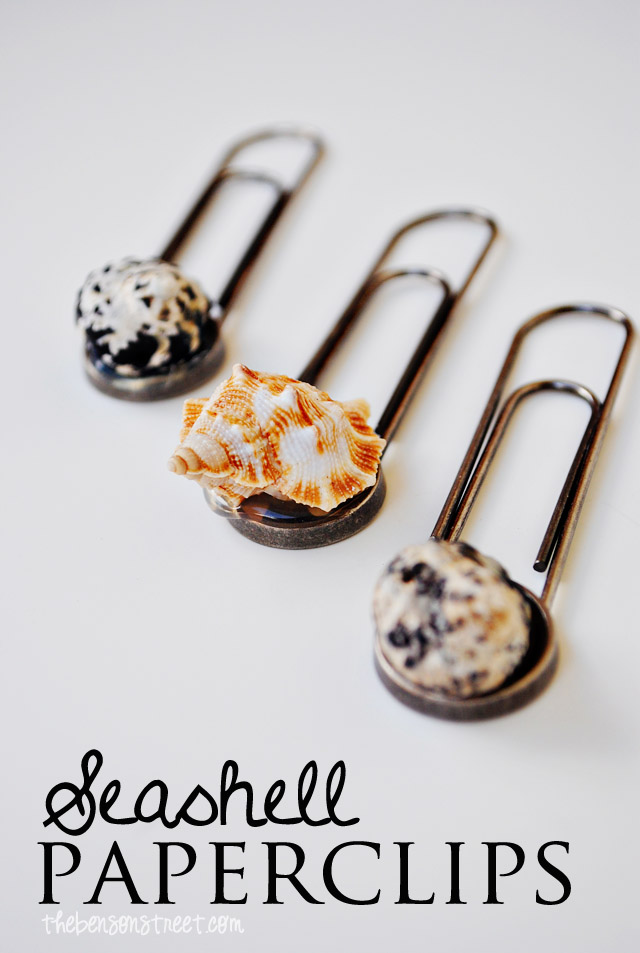 Seashell paper clips