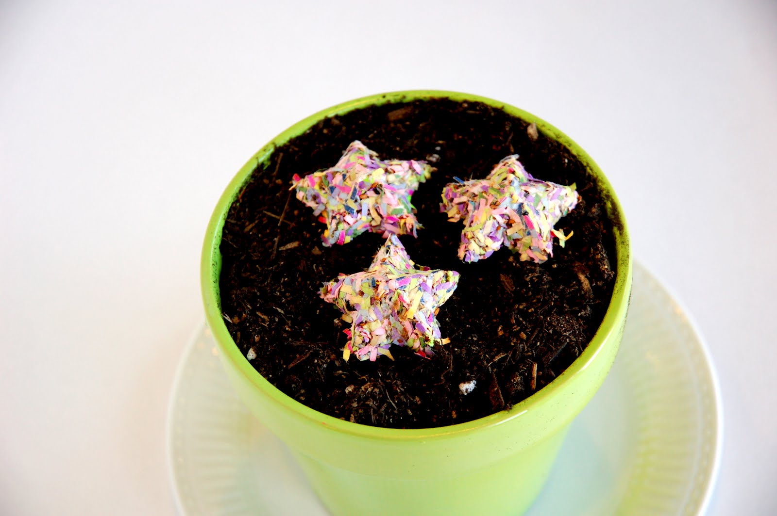 Star shaped paper confetti seed bombs