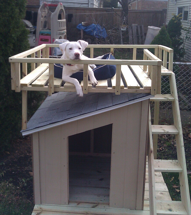 Diy doghouse with roof