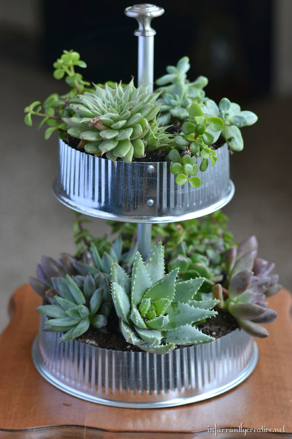 Diy herb garden industrial