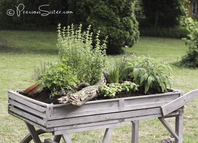 24 Diy Herb Gardens To Practice Your, Herb Garden Table Diy