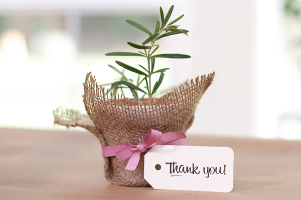 plant baby shower favors