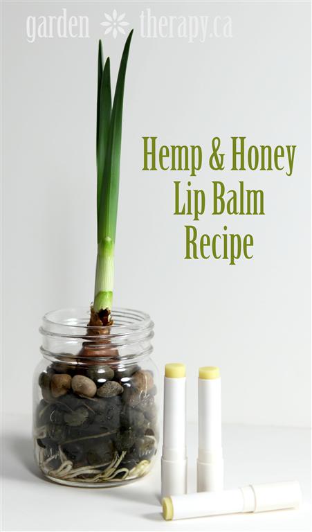 Hemp and honey lip balm recipe