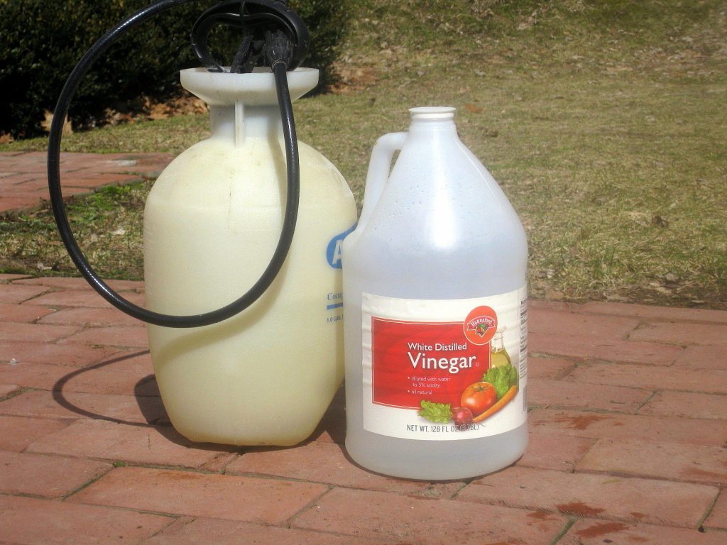 Vinegar pump sprayer weed killer