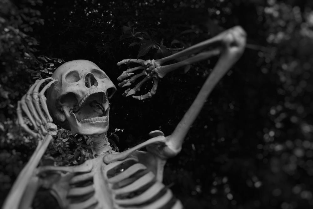 Frightened skeleton outdoor halloween decoration ideas
