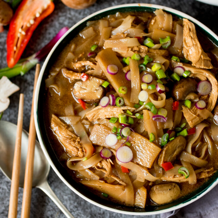 This filling Hot and Sour Chicken Noodle Soup will make your taste buds tingle!