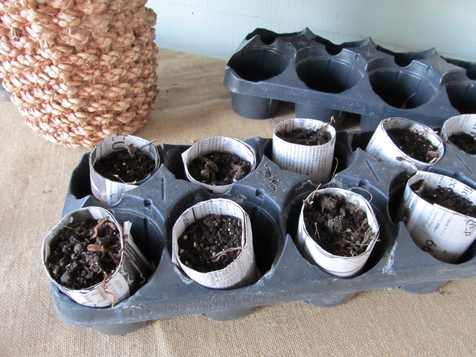 Mini soil pots