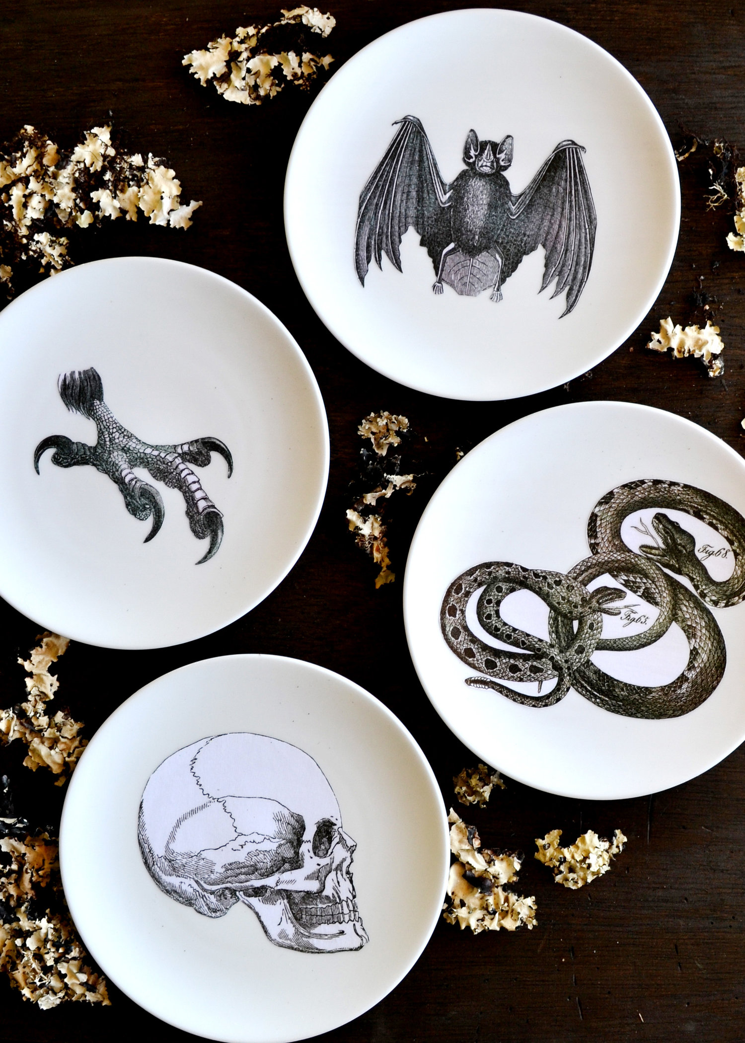 Diy silhouette plates halloween decor