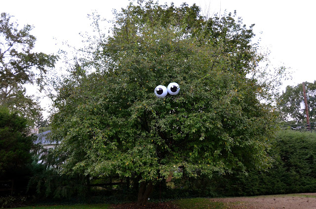 Eyes in a Tree Outdoor Halloween Decorations