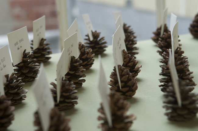 Pine cone place cards