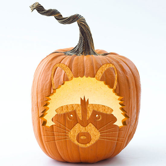 Pumpkin Carving Idea - Raccoon Pumpkin